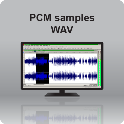 Sound programs designed for PCM samples in WAV format.
