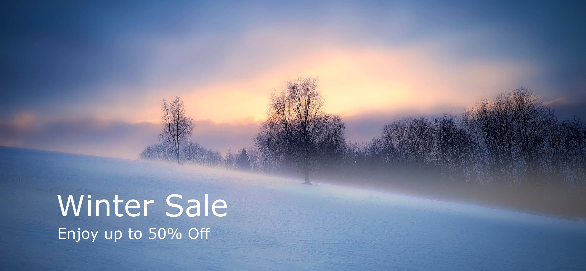 Sale_Winter_1_Big_Banner_Home